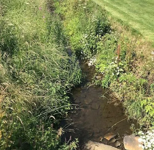 Wend Gardens Annx Carleton Pet Friendly *